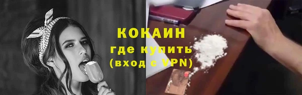 спайс Каменка