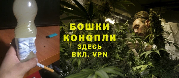 спайс Каменка
