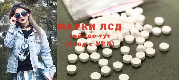 спайс Каменка