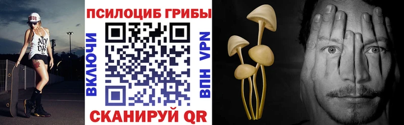 Купить закладки  Луза  Галлюциногенные грибы прущие грибы 