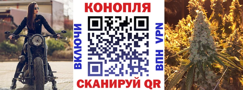 Канабис планчик Купить закладки Луза